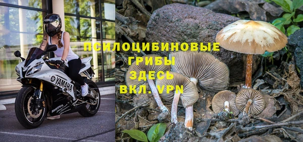 кокаин премиум Аркадак